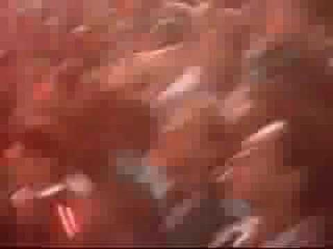 PANATHINAIKOS - POYSTHDES 2004/05 LEOFOROS