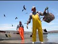 Puro Sinaloa - Banda MM - Arriba Pichataro