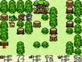 Dragon Warrior Monsters: F Class, Bosses 4&5