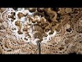 jaisalmer-la-fortaleza-monumentos-india-del-rajastn.html