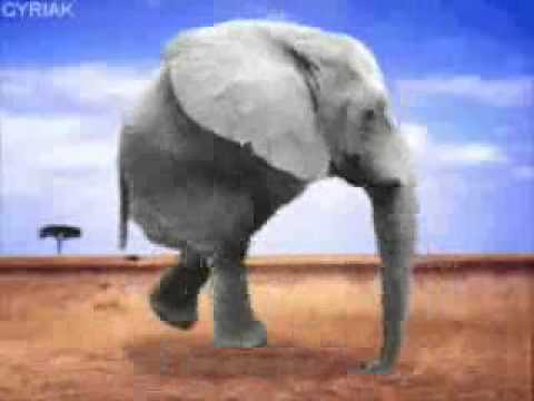 0 Retarded running elephant