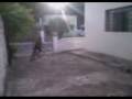 videos de Lo's Bandoleiros