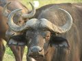 Murchison Falls National Park Murchison Falls National Park