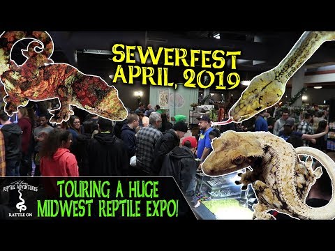 YouTube reptile video