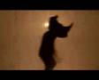 Royal Court - Rhinoceros