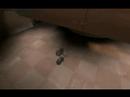 Demo Smoother test