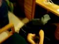 videos de Timmy Gets a Little Spook 2