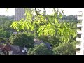 House rooftop party