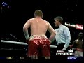 Ibragimov vs Austin