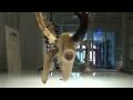 GOOSEFIRE GALLERY - Glass Art Showroom Tour
