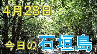 4月28日の石垣島天気