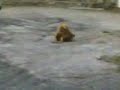 Car Trials
