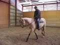 Luke and Godfriy, reining training?