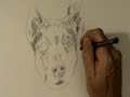 b-more speed drawing welsh corgi