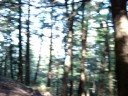 Hiking Uphill With Backpacks