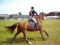 videos de Josie & Sox Eventing - WATCH IN HIGH QUALITY