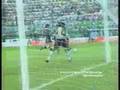 PALMEIRAS CAMPEAO BRASILEIRO 1994