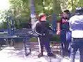 burro en la univac
