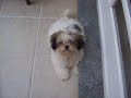 100_2110.MOV