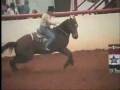 ~HorsesOverTheRainbow Productions~