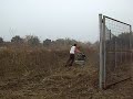 Picando hierba  con rotabator + lombardini 14 cv