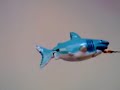 Shark Toy Paris 2008