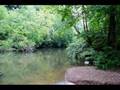 videos de Skinny Dippin' At Sundown