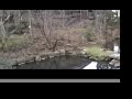 Iwate Park 1