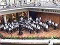 HIS Band Ala Moana Performance  The Chronicles of Narnia