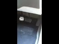 Click here to watch this video Ls1 manual revving in neutral