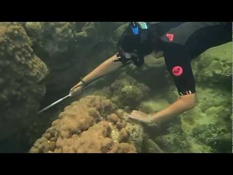 YouTube的預覽圖片