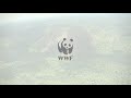 Save as WWF; save a tree, WWF Deutschland