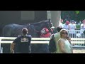 My Day at 2008 Belmont - Part 1 of 3 - Acorn Stakes - 6-7-08