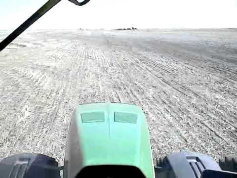 how to replant wheat