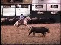 Jans Peppy Oak - Cutting Horse  SOLD