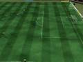videos de villa elguaje