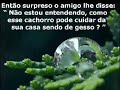 A Idolatria !