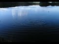 Rainbow trout Jumping when im fishing Rainbow trout Jumping when im fishing