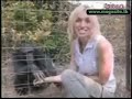 animales graciosos