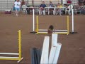 NADAC Standard 1 and Jumpers Aug 30, 2008