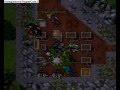 videos de Wasp Tower Trap - Rookgard