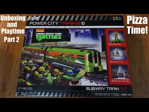 how to train turtles