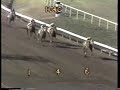 1988 Hollywood Gold Cup - Grade I