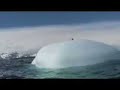 Expedition to Antarctica  - Global Warming