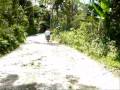 Honda TMX at Mountain trip in Argao
