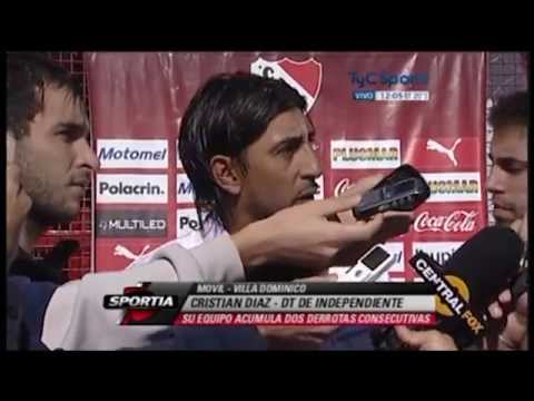 pelea perros