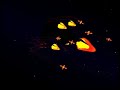Swimming with whales parts 1&2 preview