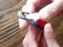 WENER / NAIL CLIP