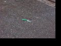 Vuurwerk Pirat strijker