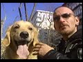 e?itmen bora erbek - k�pe?i dost star tv haber